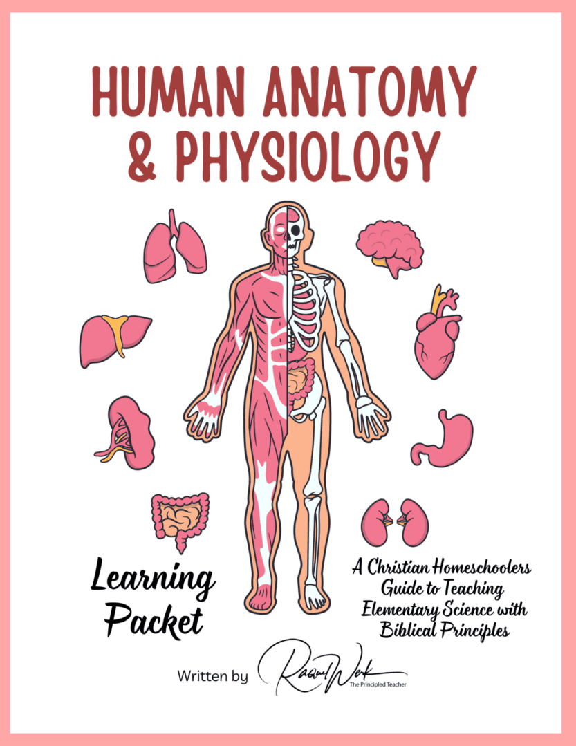 Elementary Science - Human Anatomy & Physiology (SAMPLER)
