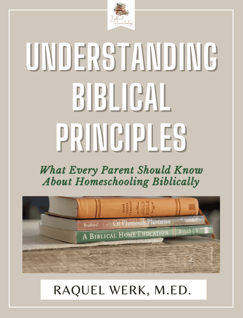 Understanding Biblical Principles book cover